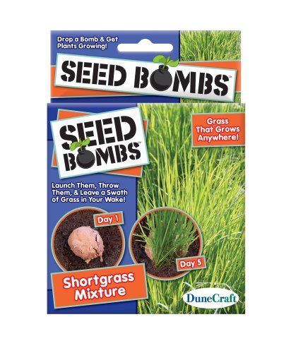 DuneCraftShortgrass Mixture Science Kit