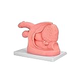 Male Urethral Catheterization Training Simulator