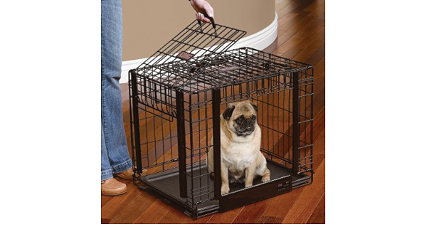 kong dog crate amazon