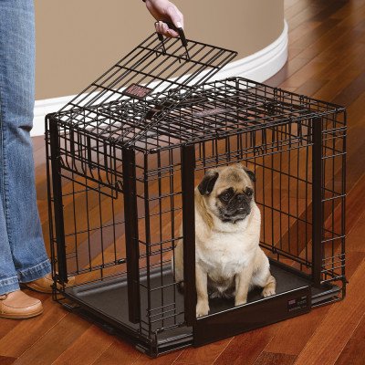 kong pet crate