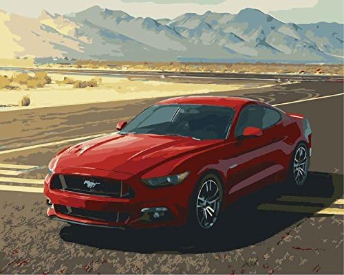 DIY PBN-paint by numbers Red car 16-by-20 inches Frameless.