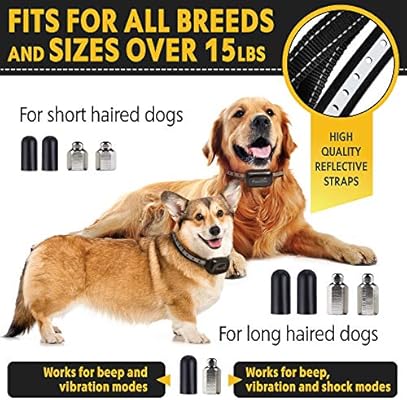 shock collar for long haired dogs