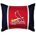 Sports Coverage MLB Sidelines Sham