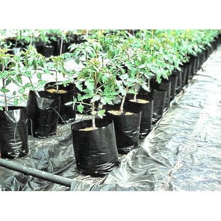 EG ELAMGREEN Plastic Grow Bags, Black, 6x8 inch