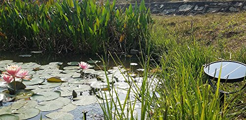 JPLSK Solar Fountain Pump, 2W Solar Water Pump Waterproof Solar Panel and Submersible Pump Kit with 4 Spay Heads for Bird Bath,Small Pond and Water Circulation,10ft Cord Included - Thumbnail 5