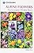 Alpine Flowers: How to Recognize Over 200 Alpine Flowers by Gillian Price