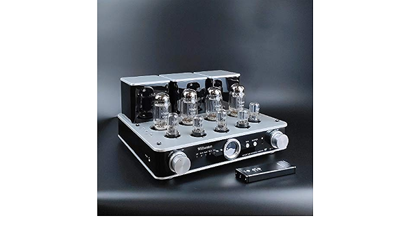 Willsenton R8 KT88/EL34 x4 Tube 