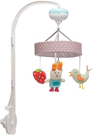 Taf Toys Musical Garden Mobile: Amazon 