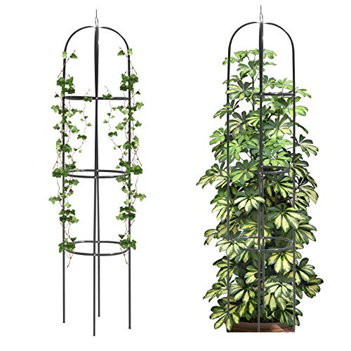 Amazon.ca Trellises Raised Beds & Plant Support Structures Patio