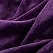 Bedsure GentleSoft Fleece Blanket Twin Size Purple - 300GSM Lightweight Plush Fuzzy Cozy Soft Warm Blanket for Bed, Sofa, Couch, Travel, Camping, 60x80 inches