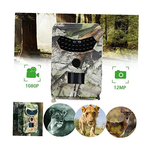MICHAELA BLAKE Jagd-Hinterkamera, HD 1080P Deer Feeder-Nachtsicht-Aufnahme LEDs Jagd Foto Fallen Wildwasserdichtes… – Bild 6