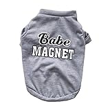 Woaills Hot Sale!!Small Dog Cat Pet Puppy Summer Shirt Clothes Vest T-Shirt (M, Gray)