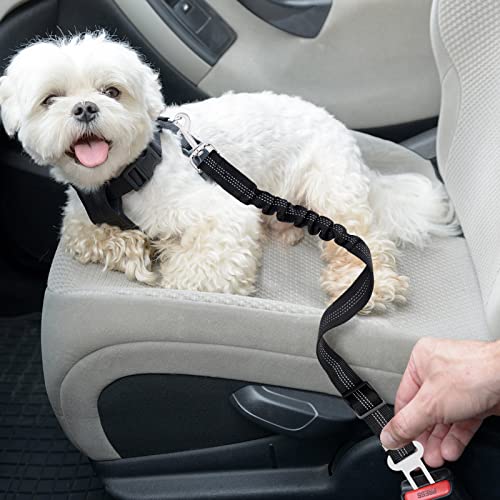 Dog Seat Belt, Piece Dog Seat Belt for Car Safety Dog Car Leash