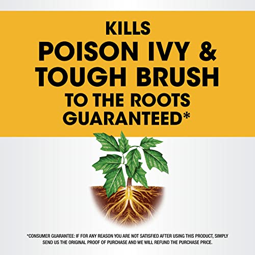 Roundup Concentrate Poison Ivy Killer Plus Tough Brush Killer for Weeds