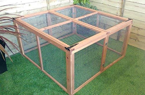 guinea pig folding run