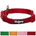 Blueberry Pet 6 Colors Better Basic Dog Collar, Rouge Red, X-Small, Neck 7.5