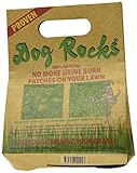 Dog Rocks - All Natural Grass Burn Solution for Dogs Prevents Lawn Urine Stains - 600 Gram Box (1 Pack)