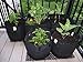 ECOgardener Grow Bags Square Foot Planter Raised Bed Fabric Pot - 12