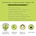 Soulflower Castor Oil -100% Pure Tropical Indian Coldpressed Oil - Boosts Growth for Eyelashes, Eyebrows, Hair 6.77 fl. Oz. Hexane Free with - BONUS portable travel friendly Spray