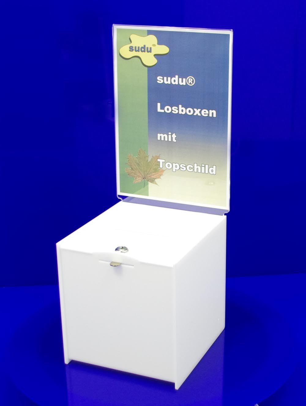 Blanca Votaciones 20 cm Con Candado y topschild A4: Amazon.es: Oficina y papelería