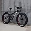 RLF LF Fat Tire Mens Mountainbike, MTB Fiets Mannen Vrouwen Student Variabele Snelheid Fiets, 24 Inch 7/21/24/27 Speed…