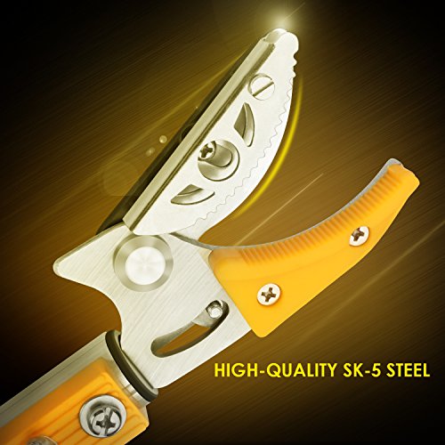 Pole saws for tree trimming, Telescopic Long Reach  Pruner 4.5-9.6 Feet | Long Handled Fruit Picker | Garden bypass Tree Lopper pruning shears With Pole Saw by Belpink - Thumbnail 7