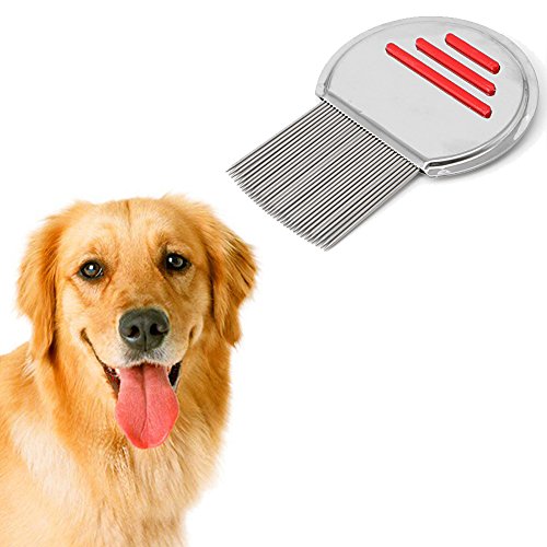 Delight eShop Cat Pet Dog Health Combs for Head Lice Nit Flea Eggs Detection Dirt Dust Remove