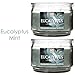Hosley Set of 2 Eucalyptus Mint Highly Scented, 2 Wick 10 Oz wax, Jar Candle. Ideal GIFT for Party Bridal, Wedding Day Spa Reiki, Meditation, Bathroom O9.