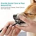 Electric Dental Calculus Remover, TUMPLIK Tooth Tartar Scraper Dental Stains Scaler with 4 Replaceable Clean Heads for Fighting Tartar, Tooth Stains, Teeth Polishing (Newest)