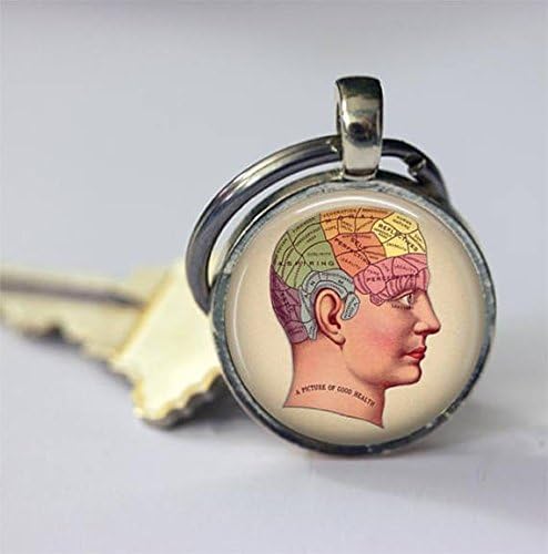 Phrenology Keychain Science Anatomy Human Brain Key Chain Car Accessories Key Fob in Bronze or Silver
