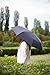 Travel Windproof Umbrella Auto Open Close – Strong and Lightweight