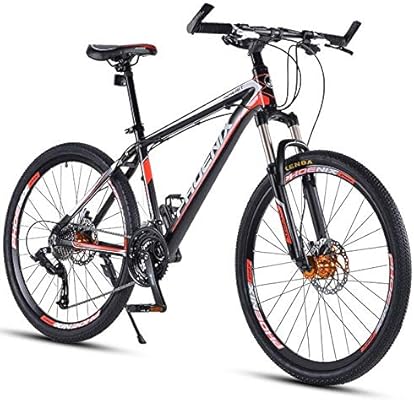 Buy adult bicycle Clearance