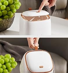 Foraineam 2 Pack Tabletop Trash Can with Pop-up