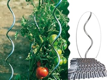Tomaten-Spiralstab 180 cm verzinkt (10 Stück)