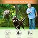 Dog Squeaky Chew Toys Durable 3 Pack Toys Set for Puppy Small Medium Large Dogs Playing Making Fun- Monkey, Bear and Bull