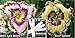 2 Packs Day Lily Certified 80 Seeds Upc 650348692476 + 2 Plant Markers & Free Zinnia Pack Butch