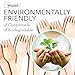 Disposable Wooden Forks by WoodU | 100% All-Natural, Eco-Friendly, Biodegradable, and Compostable - Pack of 200-6.5