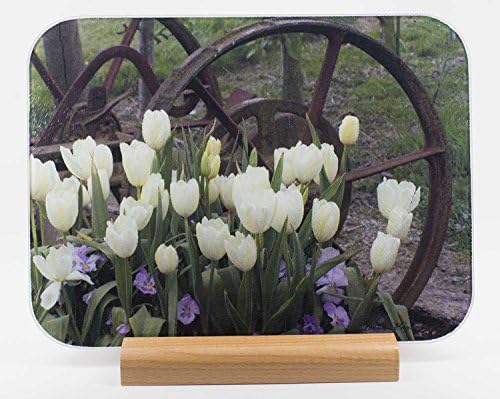 Wagon Wheel Tulips Tempered Glass Cutting Board with wood stand (CBF205)