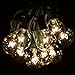 25 Foot Globe Patio String Lights - Set of 25 G40 Clear Bulbs with Green Cord