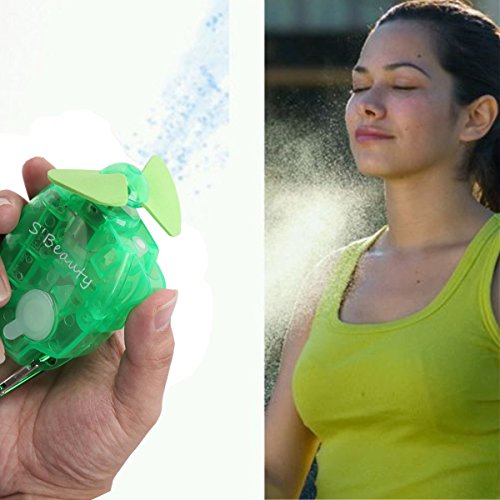 6 Portable+Handheld+Carabiner+Atomizer+Activities