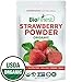 Biofinest Strawberry Juice Powder - 100% Pure Freeze-Dried Antioxidants Superfood - USDA Organic Vegan Raw Non-GMO - Boost Digestion Weight Loss - for Smoothie Beverage Blend (4 oz Resealable Bag)