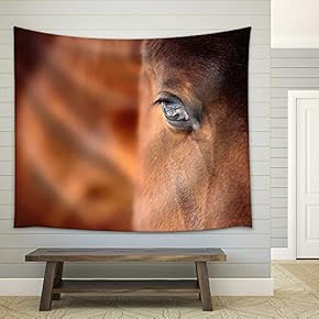 Eye of Arabian Bay Horse - Fabric Wall Tapestry Home Decor - 51x60 inches