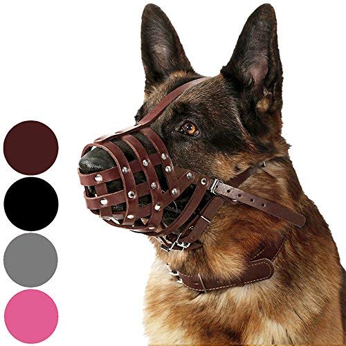 CollarDirect Dog Muzzle German Shepherd Dalmatian Doberman Setter Leather Basket Medium Large Breeds Black Brown (L, Chestnut Brown)