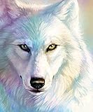 5D Diamond Paintings Rhinestone Pasted Diy Cross Stitch, Paint By Number Kits Animal Colored Wolf (12x16 inches).