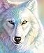 5D Diamond Paintings Rhinestone Pasted Diy Cross Stitch, Paint By Number Kits Animal Colored Wolf (12x16 inches).