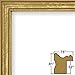 Craig Frames 314GD, Ornate Gold Picture Frame, 18 x 24 Inch