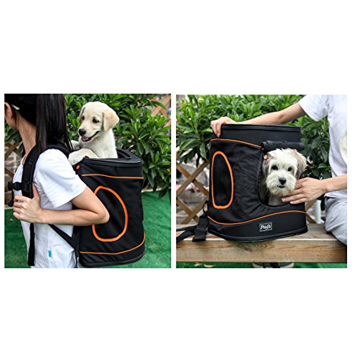 petsfit comfort backpack dog carrier