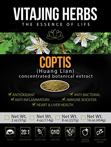 Coptis (Chinese Goldthread) Extract Powder (2oz / 57gm) | 20:1 Concentration