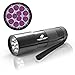 365nm UV Flashlight – Best for Finding Pet Urine, Inspecting Hotel Rooms and Repairing Carpets – 12 LED Ultraviolet Light – AAA Batteries Included – 6 Months Guarantee by Americans’ Preferred
