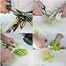 Come Apart Kitchen Shears, Multi-Purpose Kitchen Scissors for Chicken, Poultry, Meat, Fishing, Vegetable, Herb Cooking with Comfortable Handles & Ultra Sharp Detachable Blades